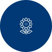 Sunflower icon representing sustainability or environmental initiatives.