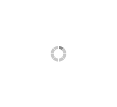 Loading circle animation indicating a process in progress.